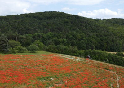 Fasssauna Panorama Suchbild - Rhön Fass